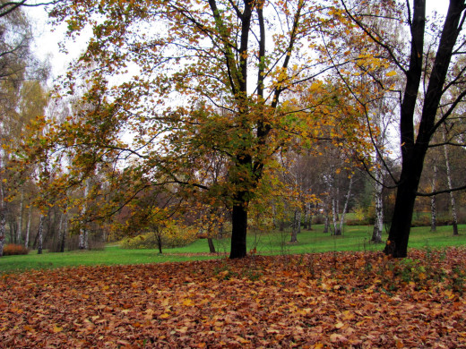 1054417 (a): :1920x1440